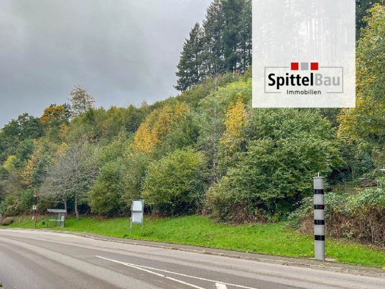 SpittelBau GmbH Schenkenzell Wohngrundst�ck Gro�z�giges Grundst�ck in Schenkenzell