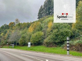 Hauptbild Gro�z�giges Grundst�ck in Schenkenzell