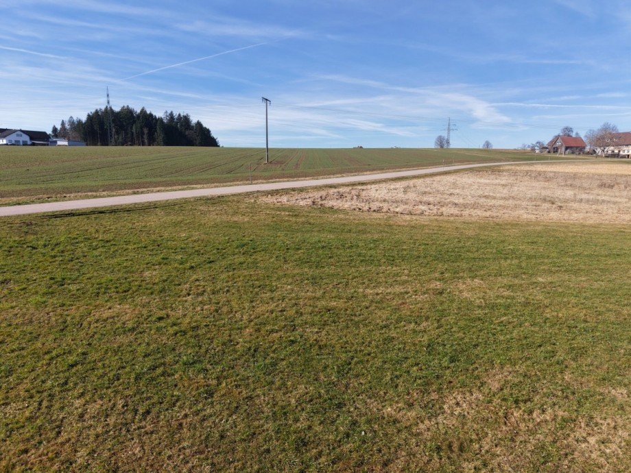 Ausblick Einfamilienhaus Hardt