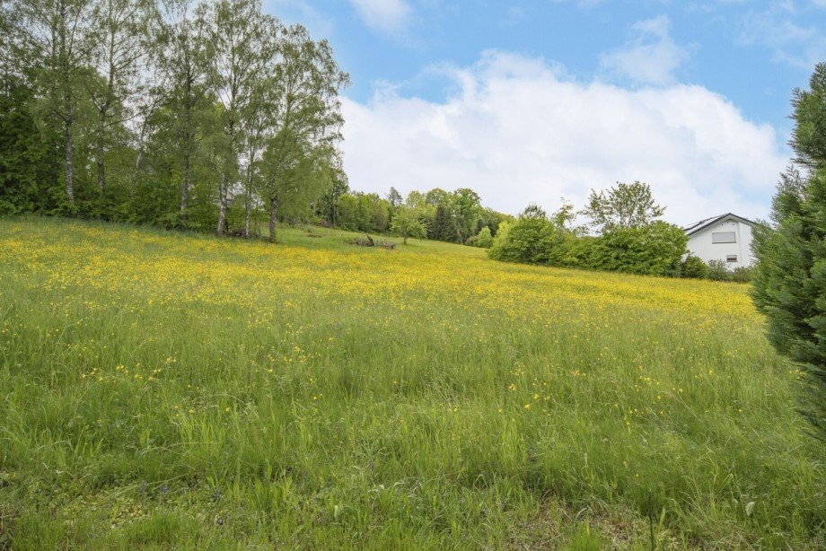Ausblick Einfamilienhaus Schramberg