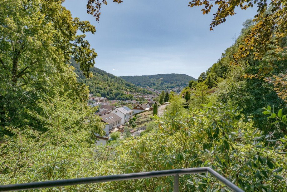 Ausblick Zweifamilienhaus Schramberg