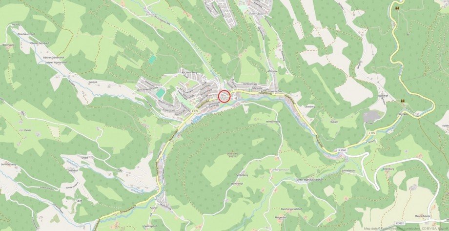 Lage Etagenwohnung Tennenbronn