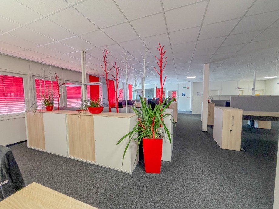 Gro�raumb�ro Produktion Hardt