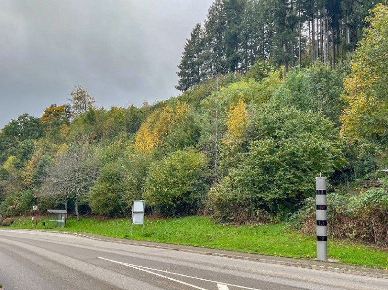 Grundst�ck Schenkenzell Wohngrundst�ck Gro�z�giges Grundst�ck in Schenkenzell